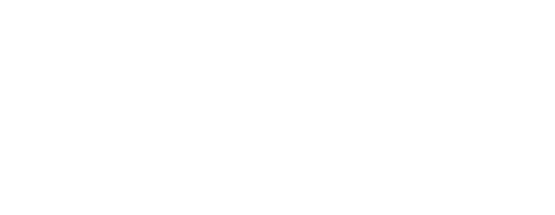 玮丽软件官网